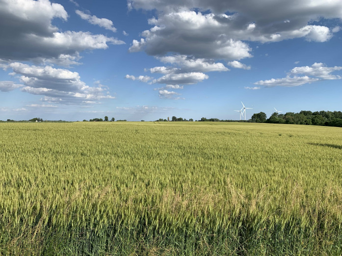 Ontario Farmland