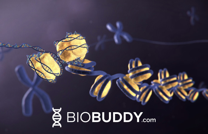 BioBuddy PR Image