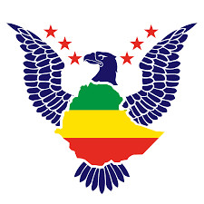 American Ethiopian Public Affairs Committee logo