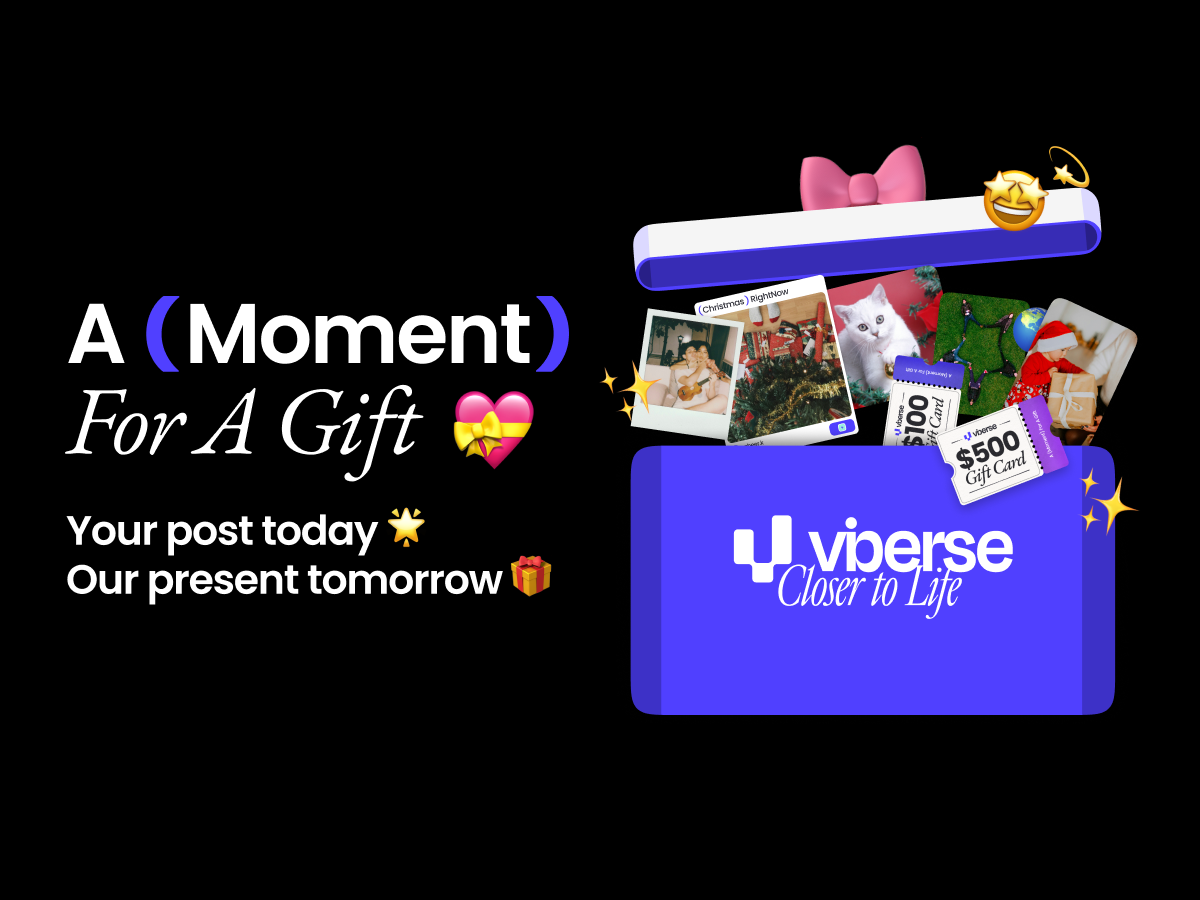 Viberse's year-end campaign-post and win. SOURCE: Viberse